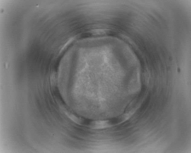 X0000071860093200607211928