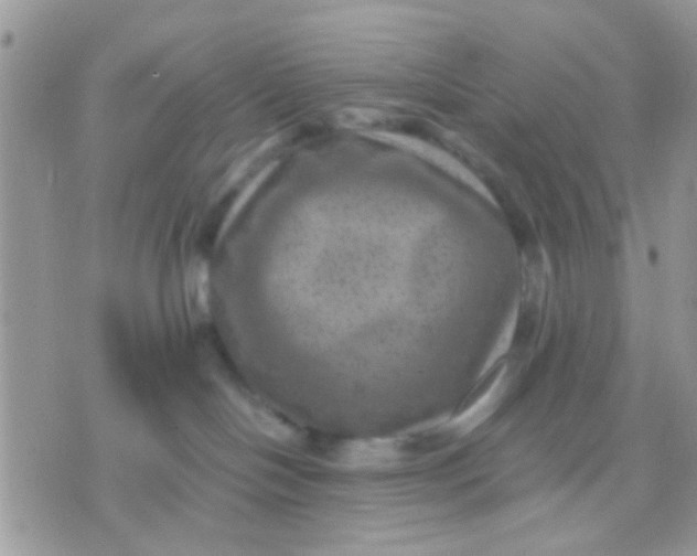 X0000071860094200607211928