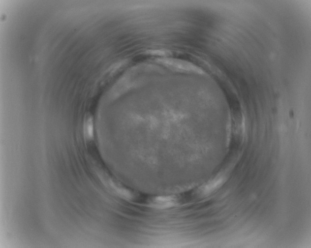 X0000071860095200607211928