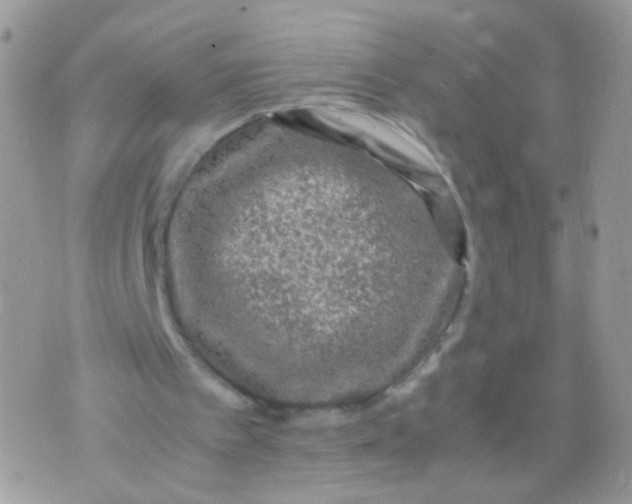 X0000071860097200607211927