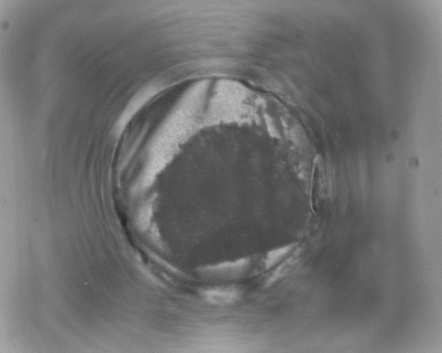 X0000071860099200607211927