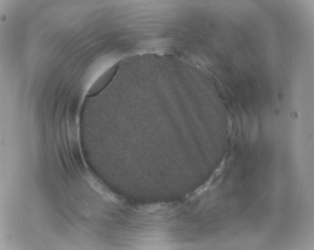 X0000071860100200607211927