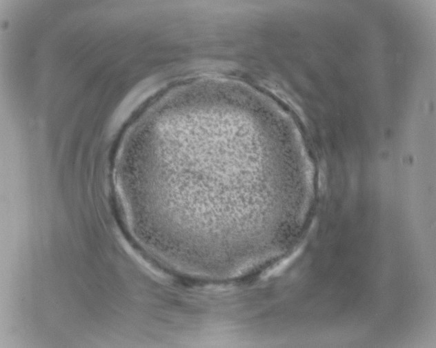 X0000071860101200607211927