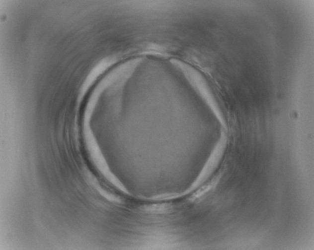 X0000071860102200607211927