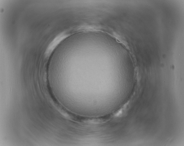 X0000071860103200607211927