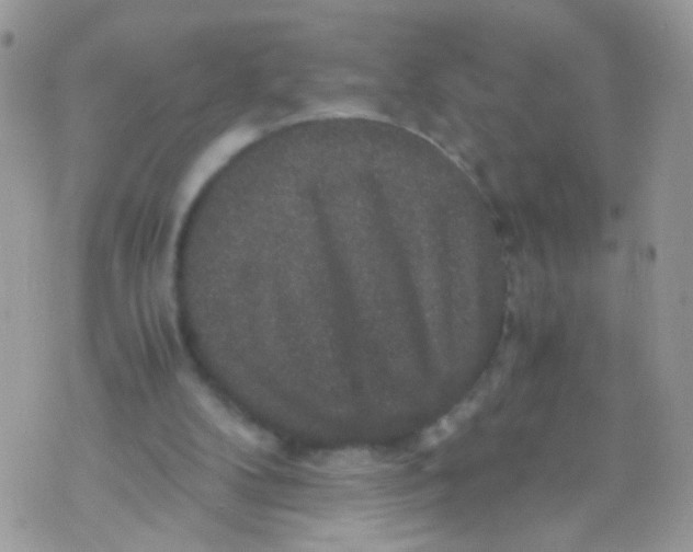 X0000071860104200607211927