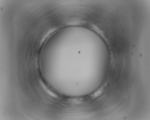 X0000071860106200607211927