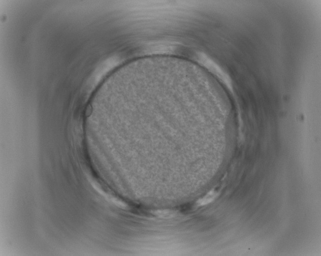 X0000071860107200607211927