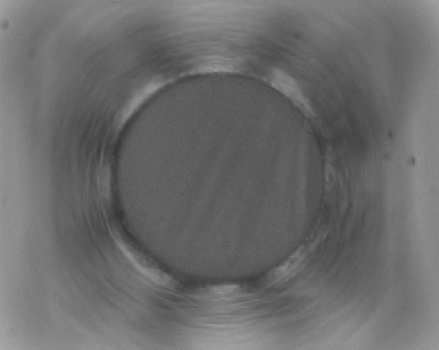 X0000071860108200607211927