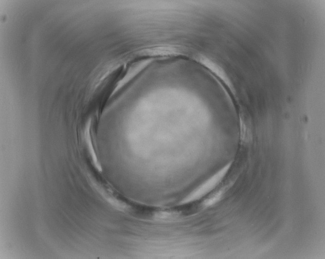 X0000071860109200607211927