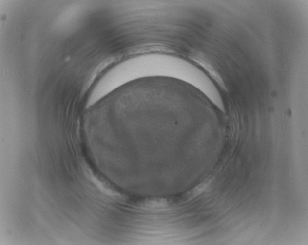 X0000071860110200607211927