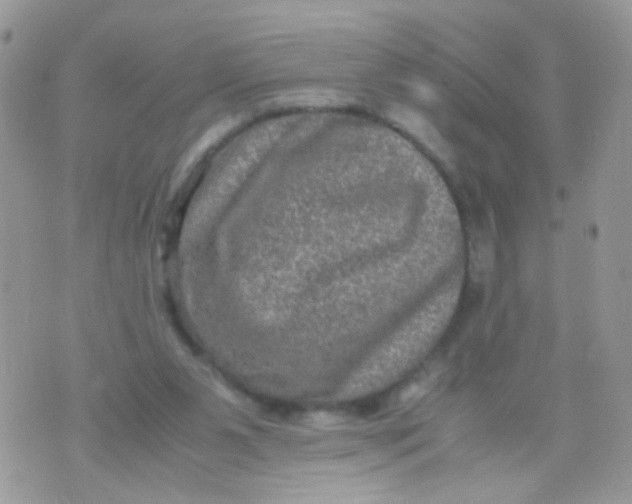 X0000071860111200607211927