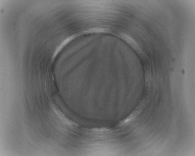 X0000071860112200607211927