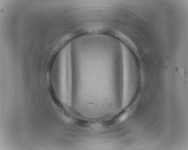 X0000071860113200607211927