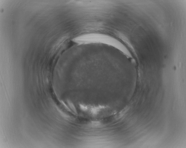 X0000071860114200607211927