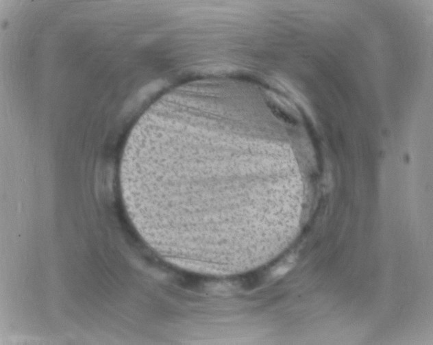 X0000071860115200607211927