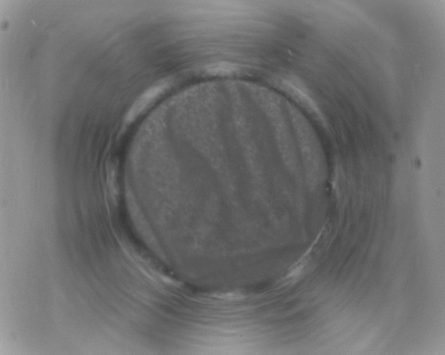 X0000071860116200607211927