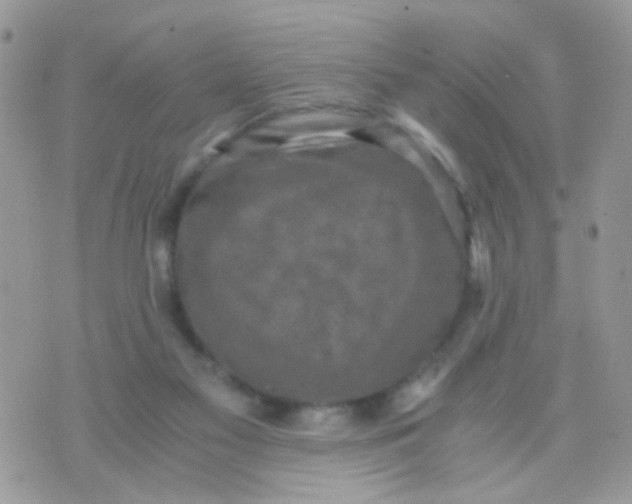 X0000071860117200607211927