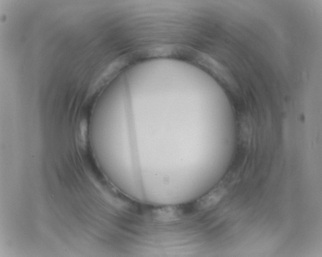 X0000071860118200607211927