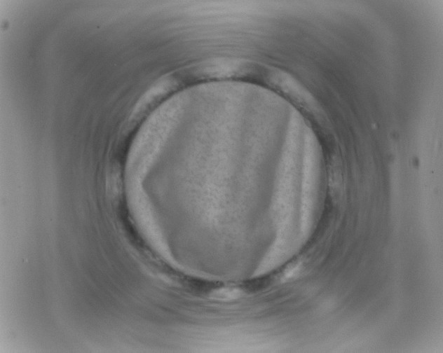 X0000071860119200607211927