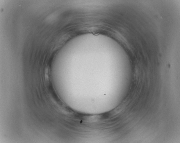 X0000071860122200607211927