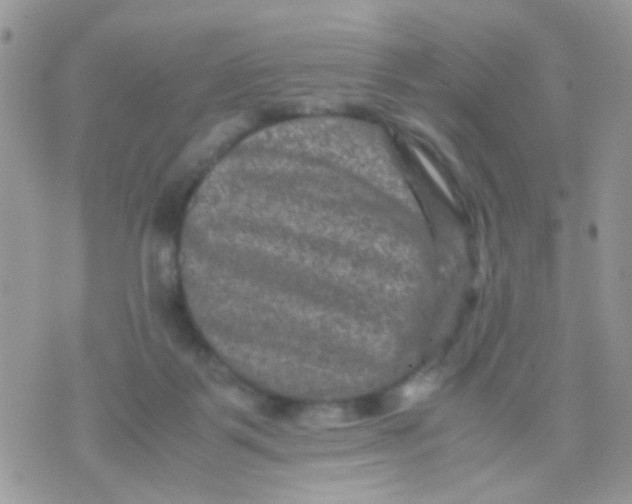 X0000071860123200607211927