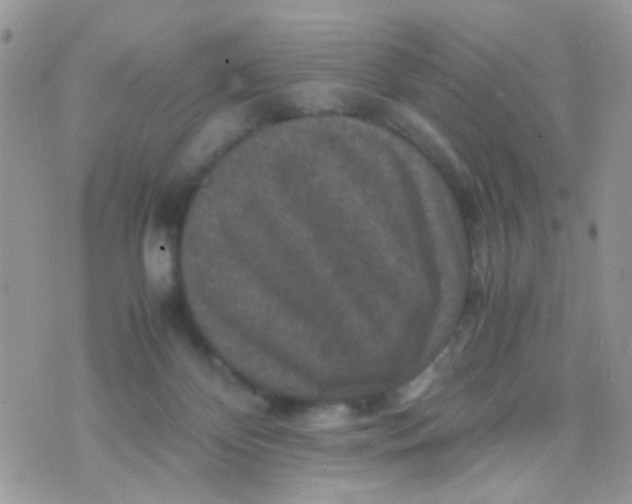 X0000071860124200607211927