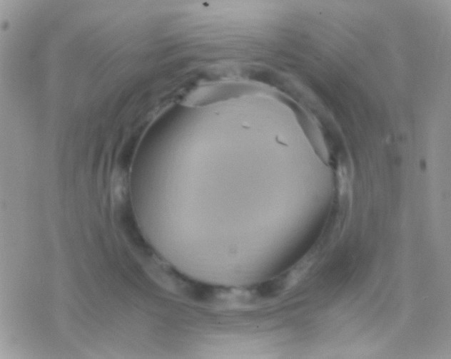 X0000071860125200607211927