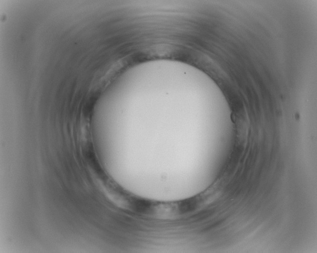 X0000071860126200607211927