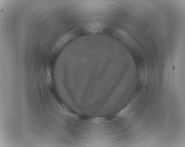 X0000071860128200607211927