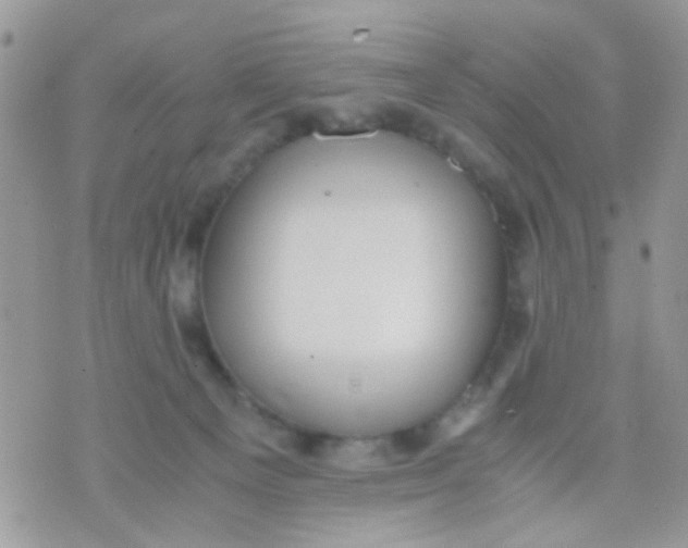 X0000071860129200607211927