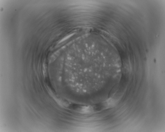 X0000071860130200607211927