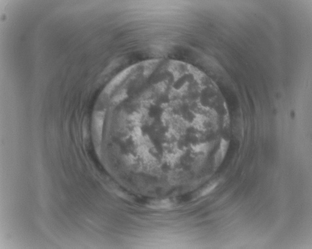 X0000071860131200607211927