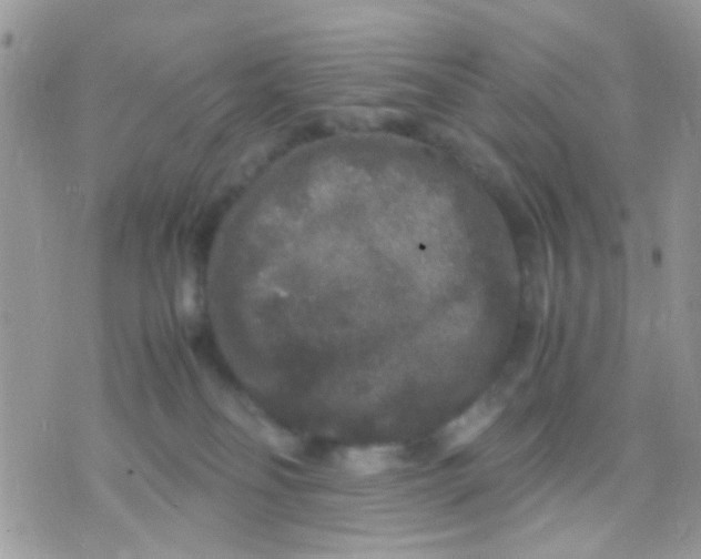 X0000071860134200607211927