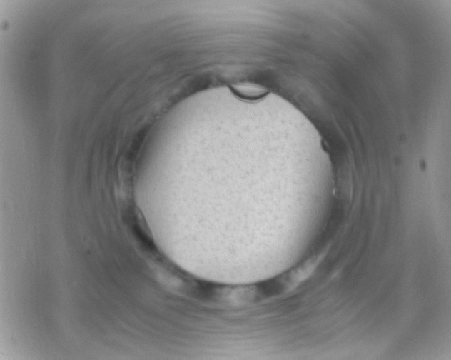 X0000071860135200607211927