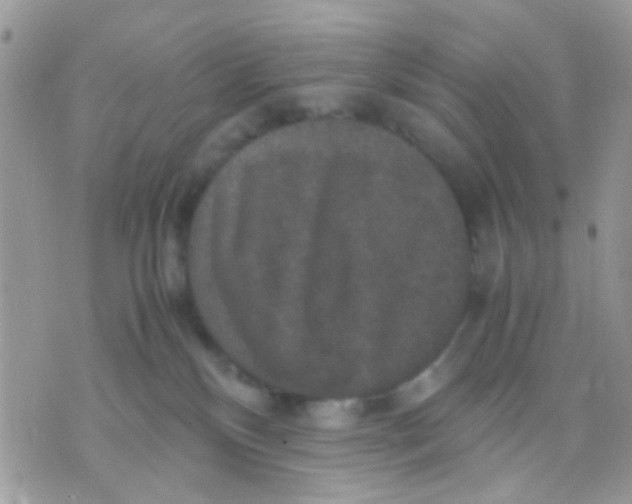 X0000071860136200607211927