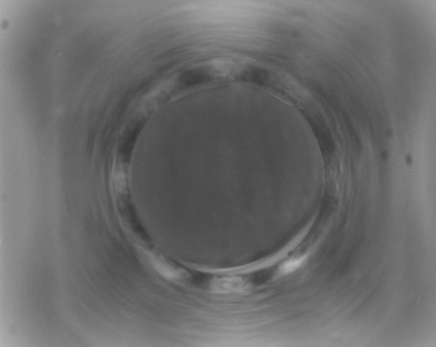 X0000071860137200607211927