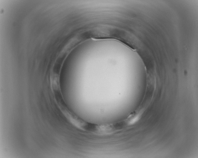 X0000071860141200607211927