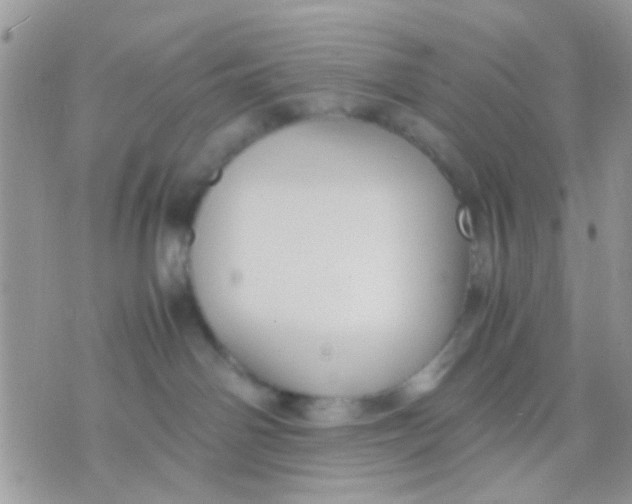 X0000071860142200607211926