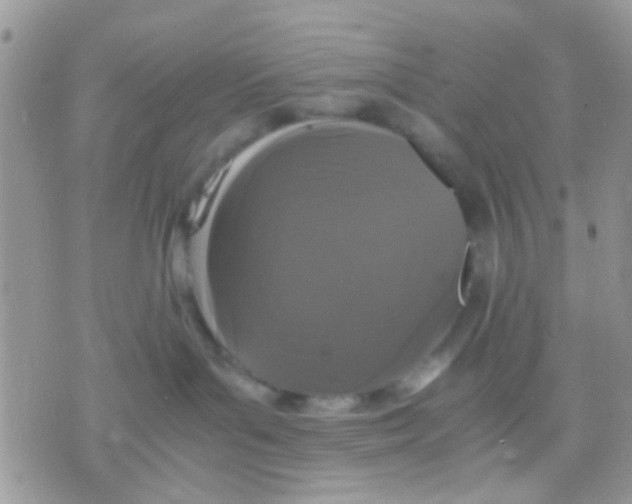 X0000071860143200607211926