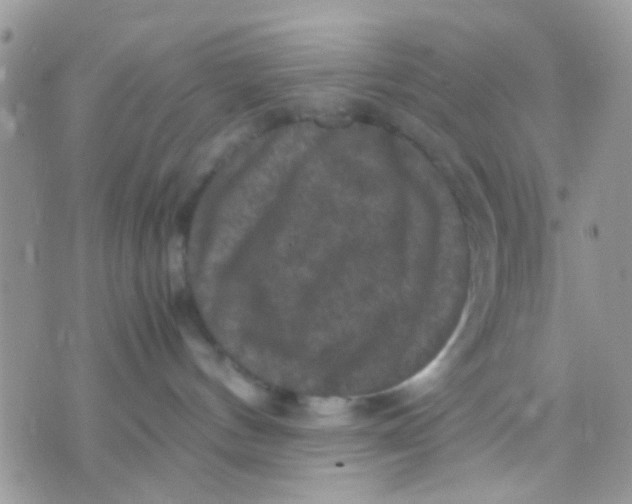 X0000071860144200607211926