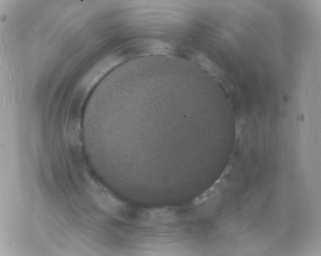 X0000071860146200607211926