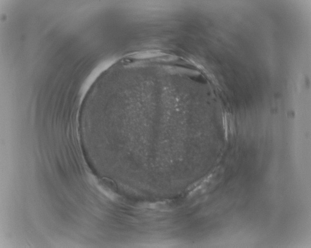 X0000071860147200607211926