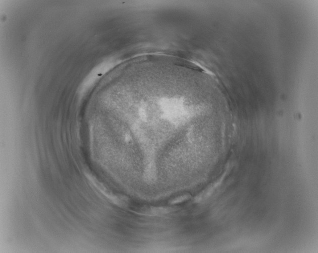 X0000071860149200607211926