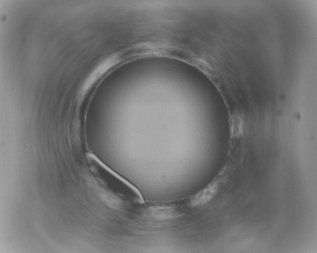 X0000071860150200607211926