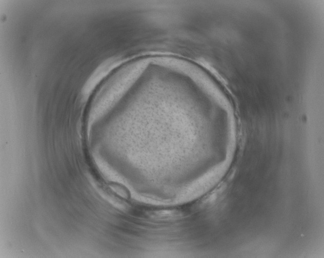 X0000071860151200607211926