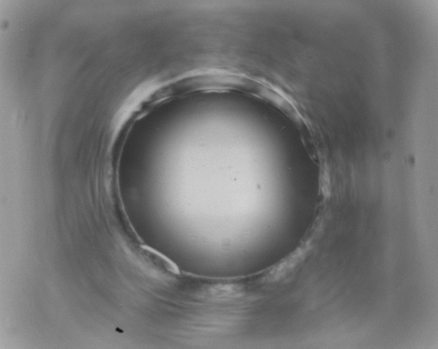 X0000071860152200607211926