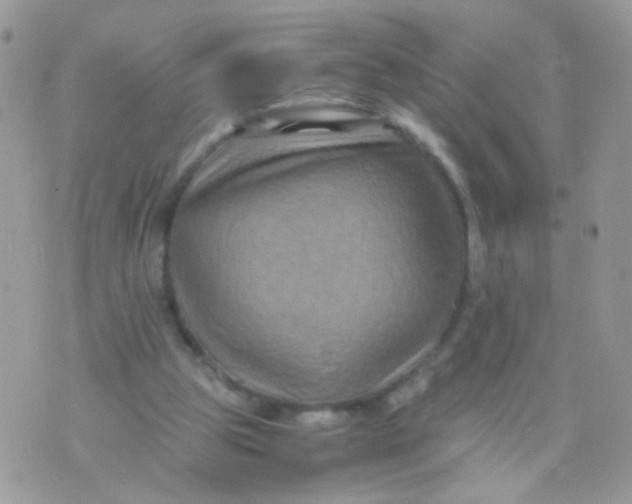 X0000071860153200607211926