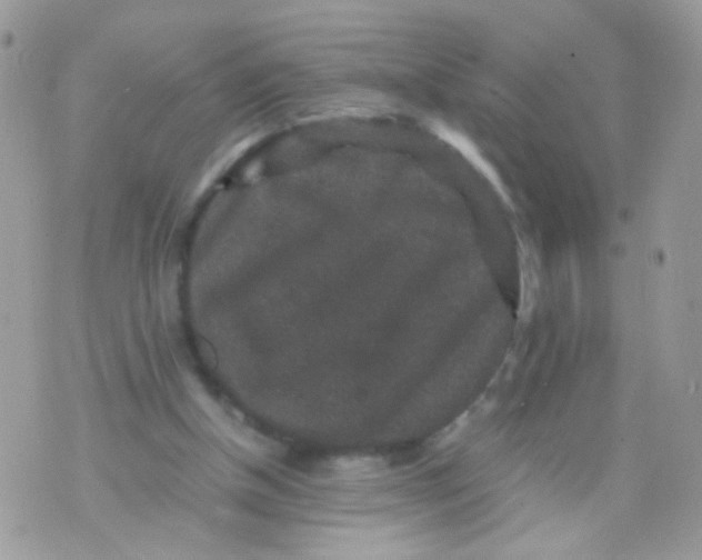 X0000071860154200607211926