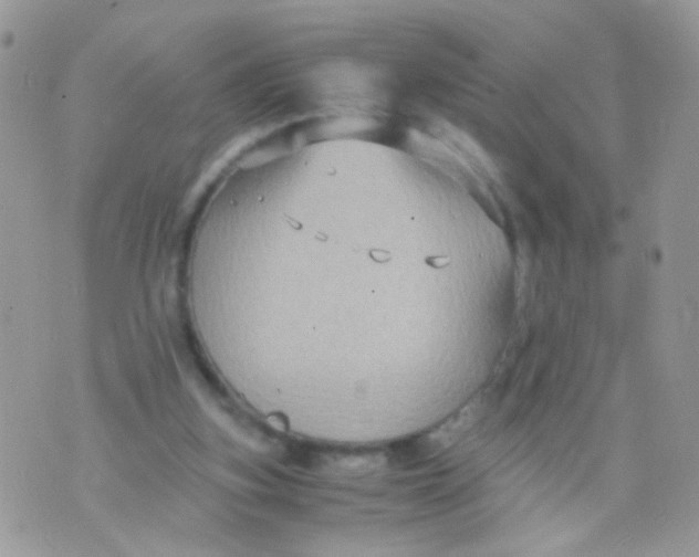 X0000071860155200607211926